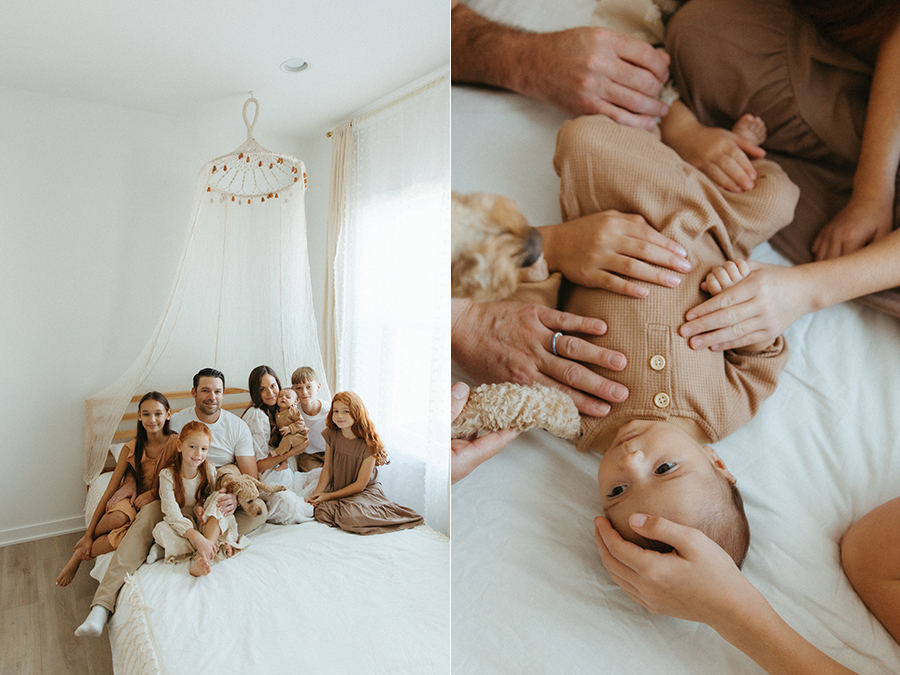 aldie virginia newborn and family photographer