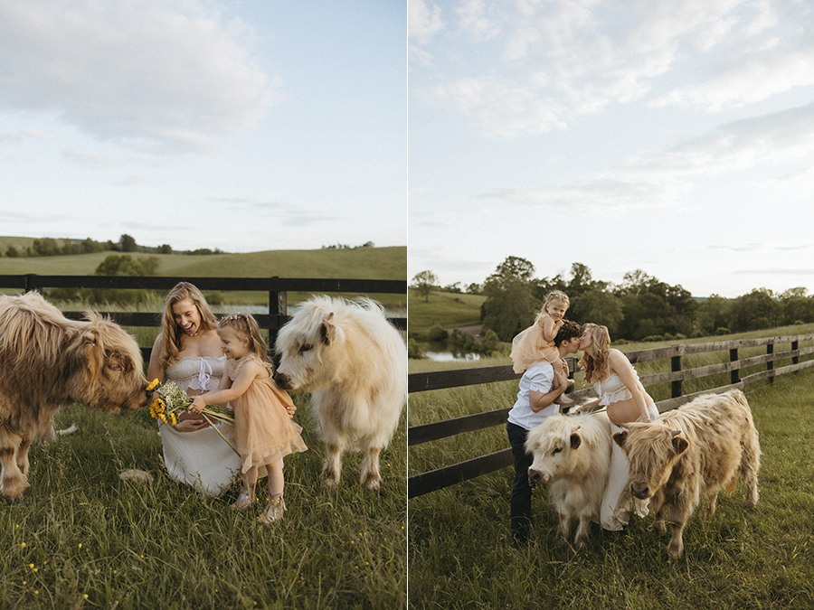 Virginia maternity photographer