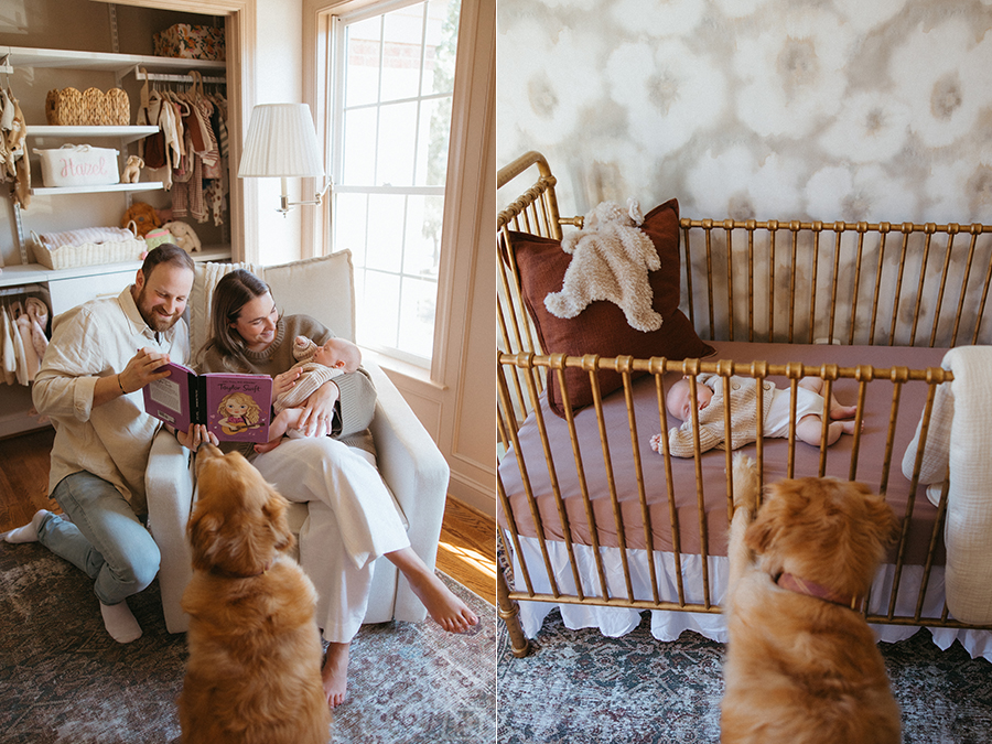 Fairfax Virginia newborn photographer