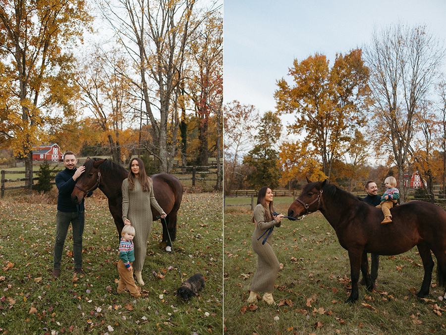 Aldie Virginia family photographer