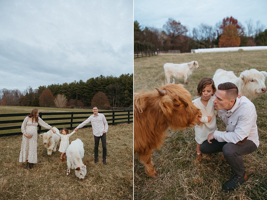 2025-12-10_0003.jpg 2025-12-10_0003.jpg