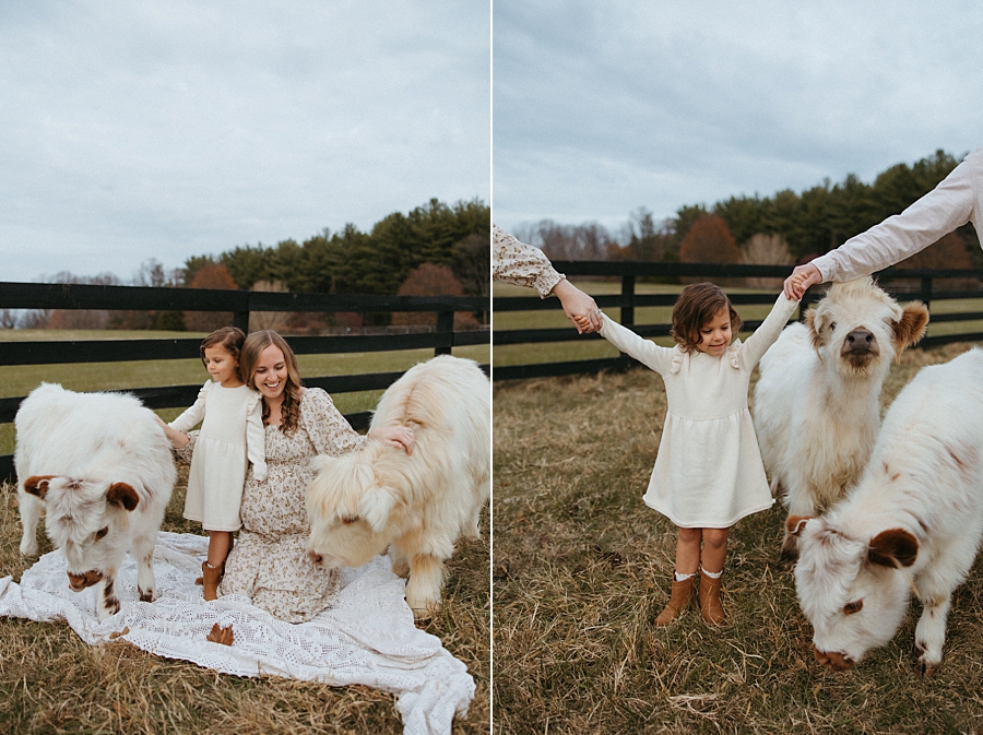 2025-12-10_0004.jpg 2025-12-10_0004.jpg