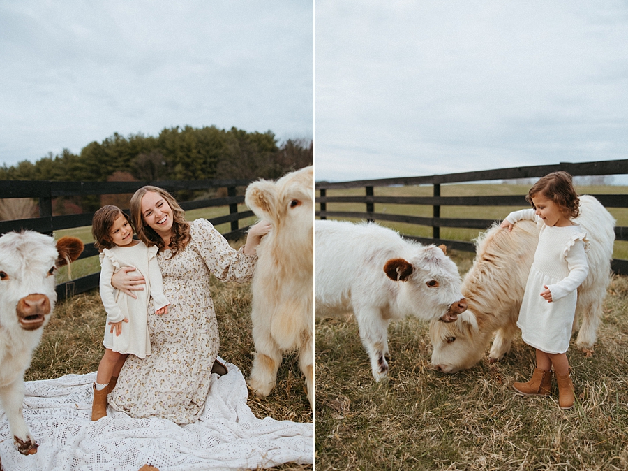 2025-12-10_0005.jpg 2025-12-10_0005.jpg