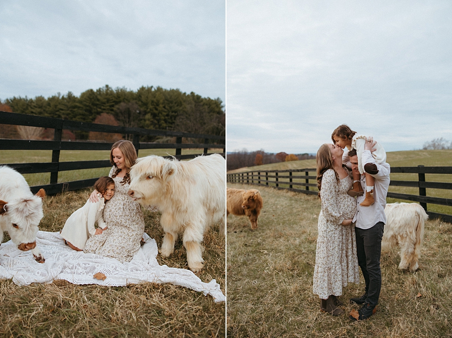 2025-12-10_0006.jpg 2025-12-10_0006.jpg