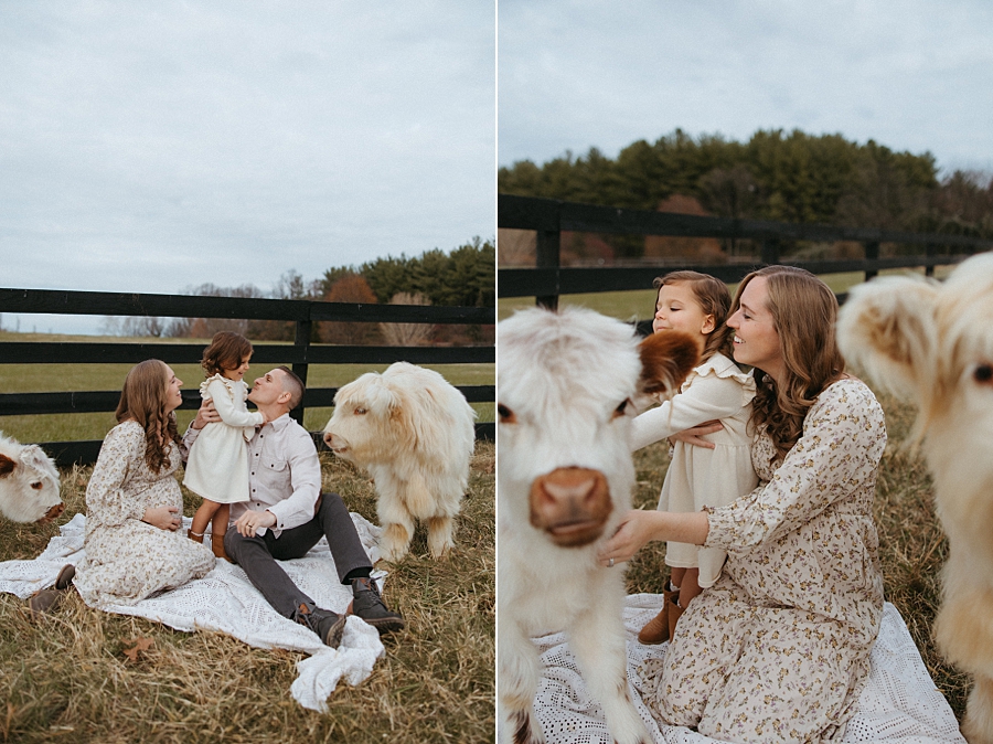 2025-12-10_0007.jpg 2025-12-10_0007.jpg