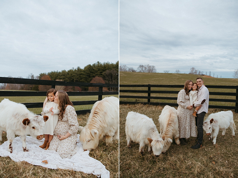 2025-12-10_0008.jpg 2025-12-10_0008.jpg