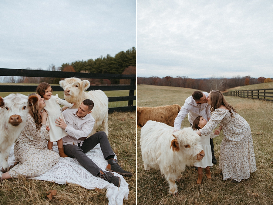 2025-12-10_0012.jpg 2025-12-10_0012.jpg