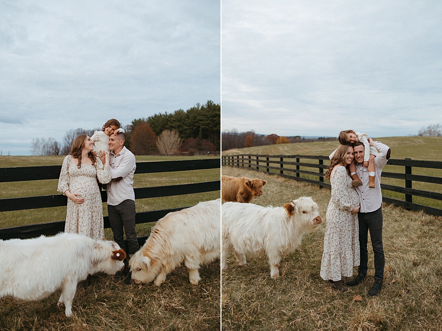 2025-12-10_0013.jpg 2025-12-10_0013.jpg