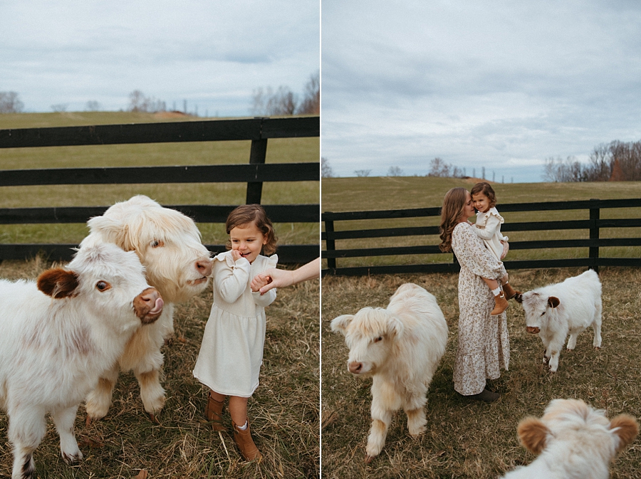 2025-12-10_0014.jpg 2025-12-10_0014.jpg