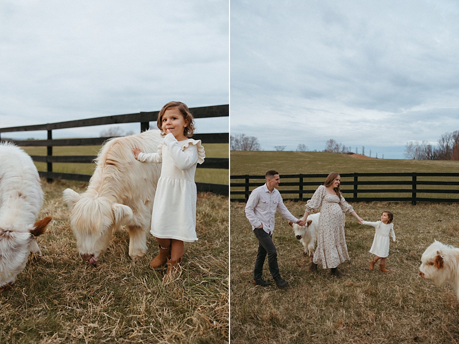 2025-12-10_0015.jpg 2025-12-10_0015.jpg