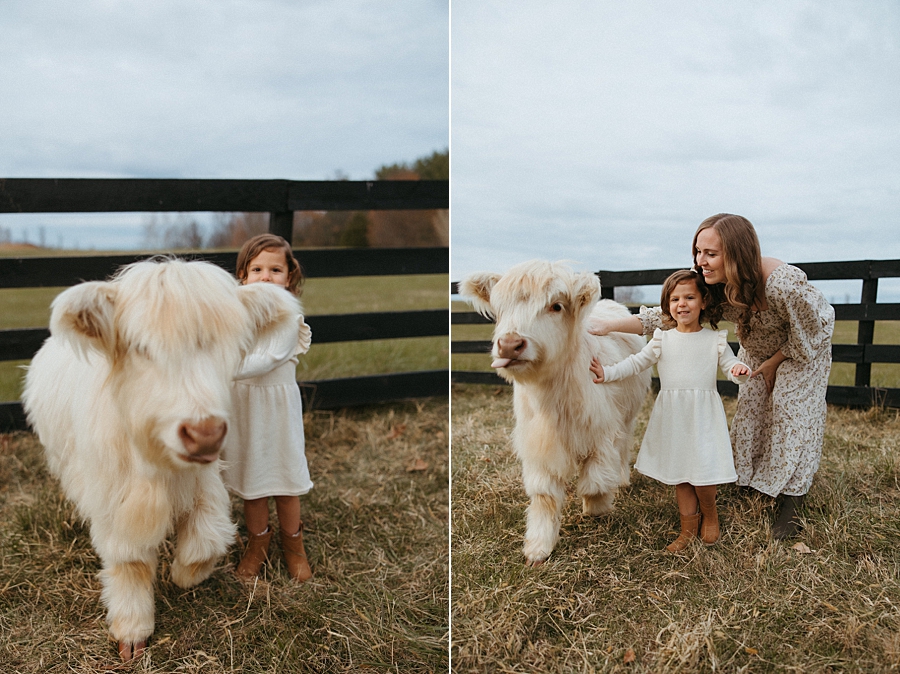 2025-12-10_0016.jpg 2025-12-10_0016.jpg