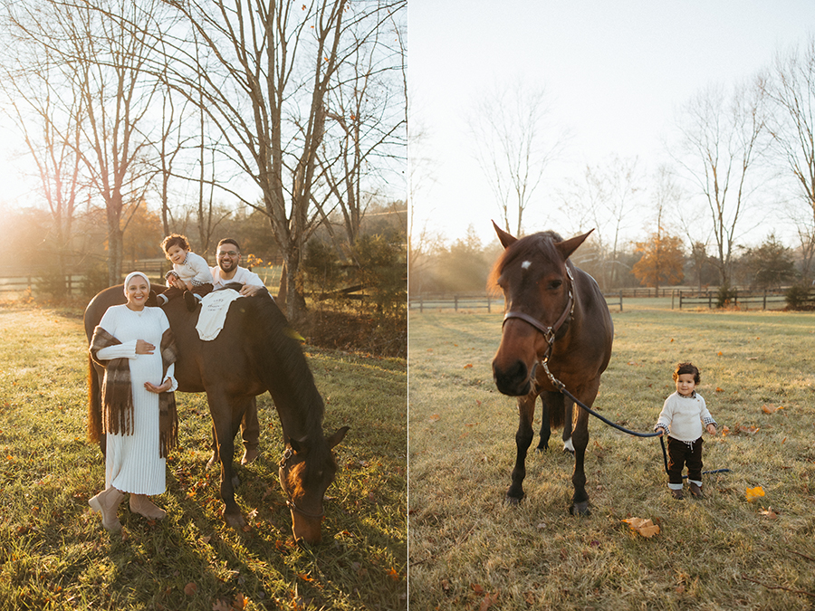 Aldie Virginia maternity photographer