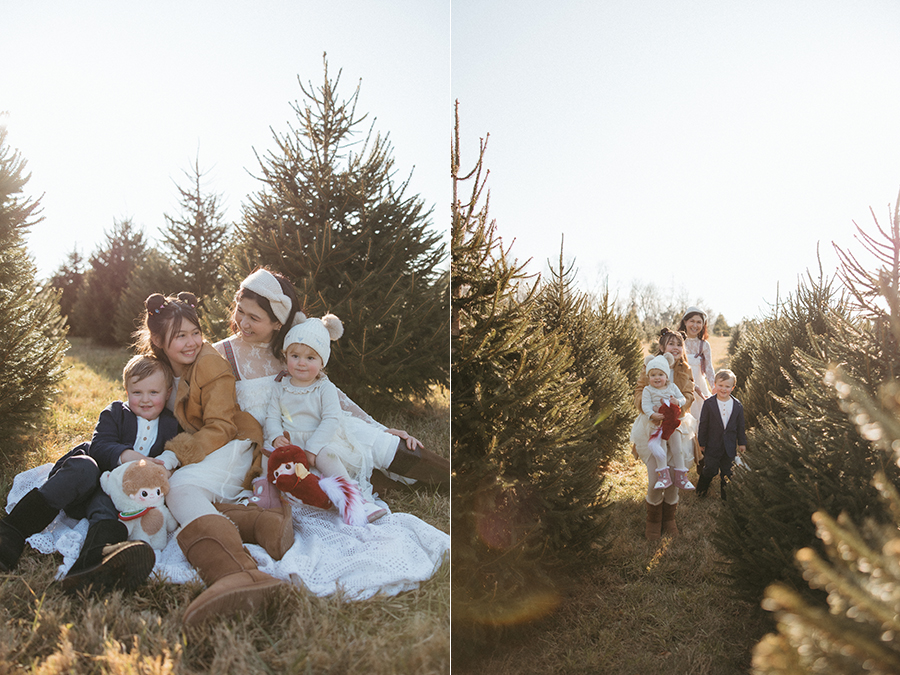 Virginia Christmas Tree Farm family photographer