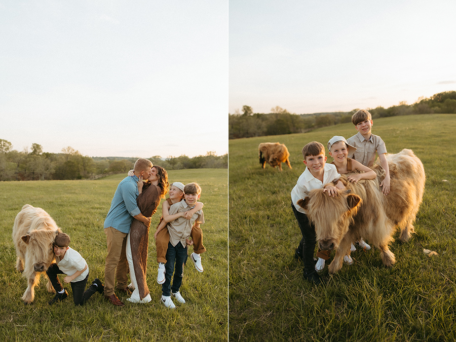 Nova mini session photographer