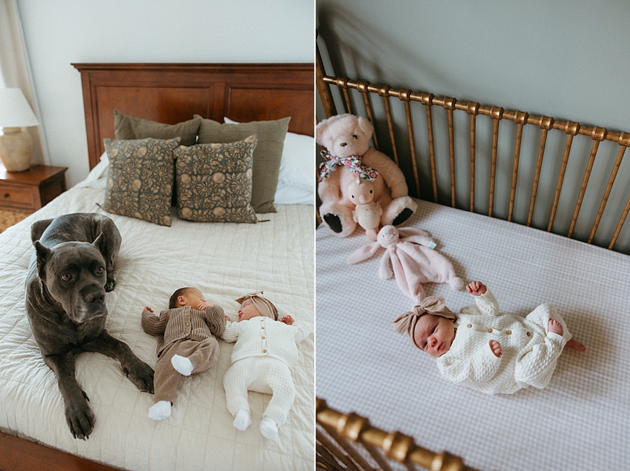 2026-01-11_0011.jpg 2026-01-11_0011.jpg