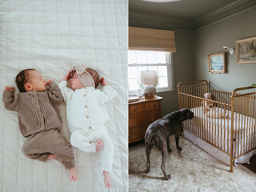 2026-01-11_0014.jpg 2026-01-11_0014.jpg