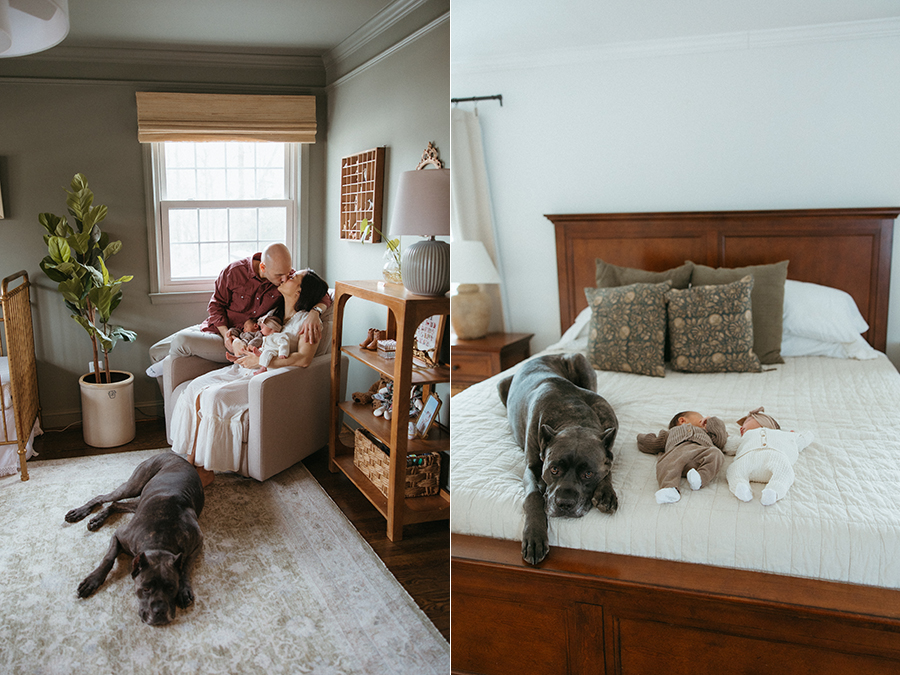 Virginia newborn photographer