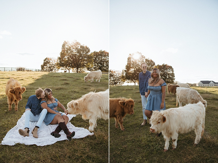 2026-02-21_0002.jpg 2026-02-21_0002.jpg