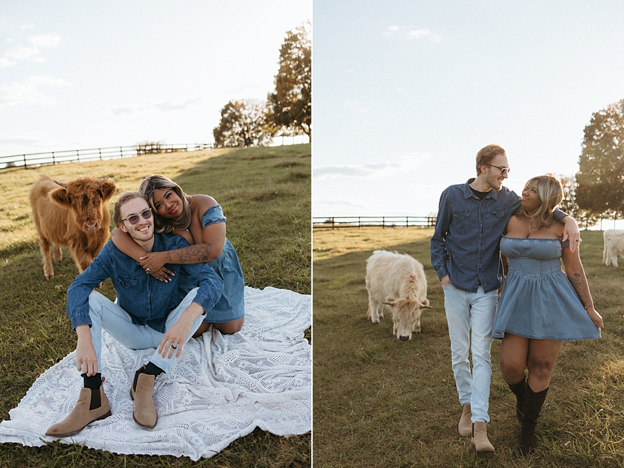 2026-02-21_0003.jpg 2026-02-21_0003.jpg