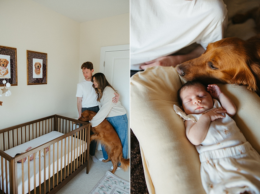 2026-03-27_0010.jpg 2026-03-27_0010.jpg