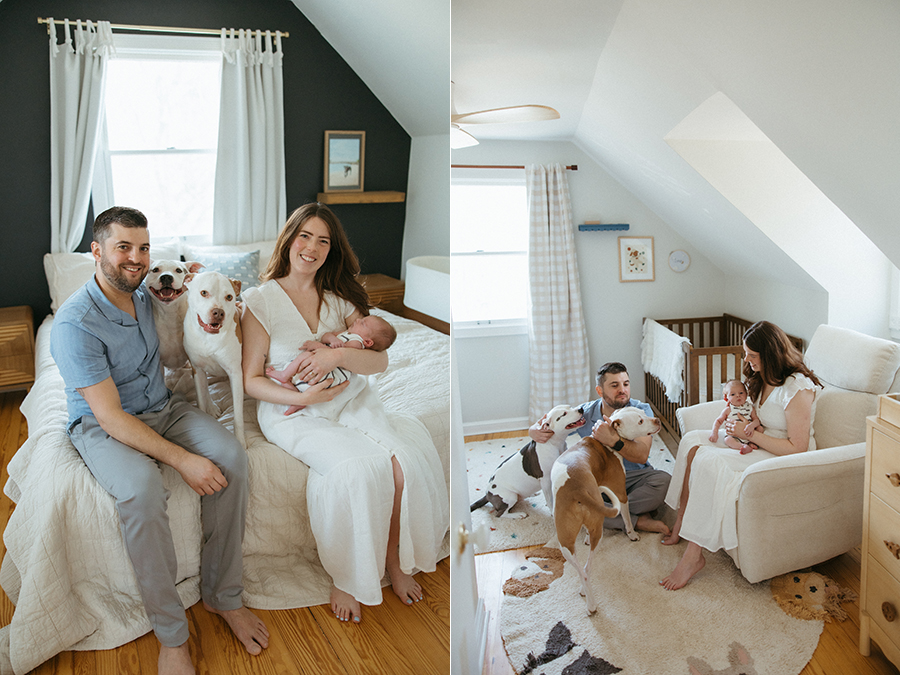 Alexandria newborn photographer