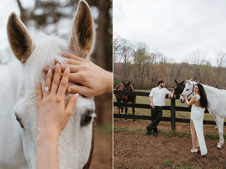 2026-04-07_0006.jpg 2026-04-07_0006.jpg