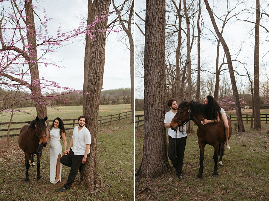 2026-04-07_0007.jpg 2026-04-07_0007.jpg