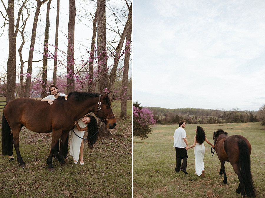 2026-04-07_0011.jpg 2026-04-07_0011.jpg