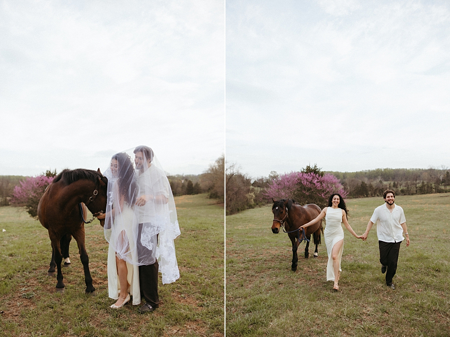 2026-04-07_0012.jpg 2026-04-07_0012.jpg