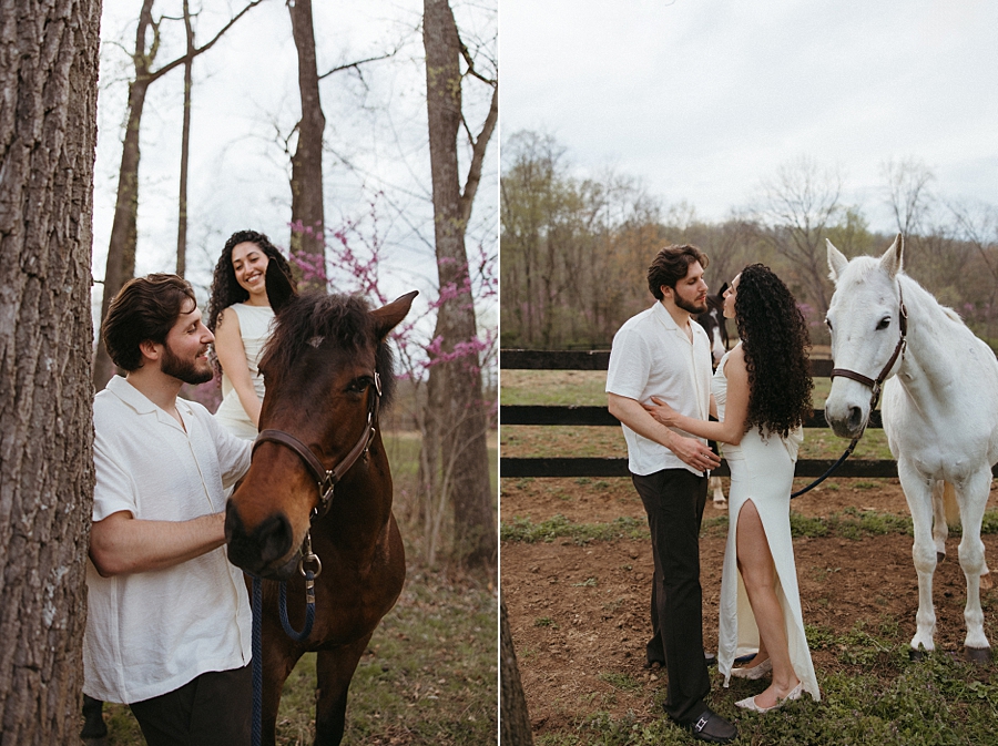 2026-04-07_0017.jpg 2026-04-07_0017.jpg