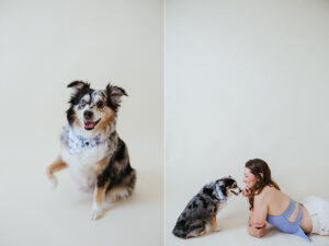 Aldie Virginia studio pet photographer