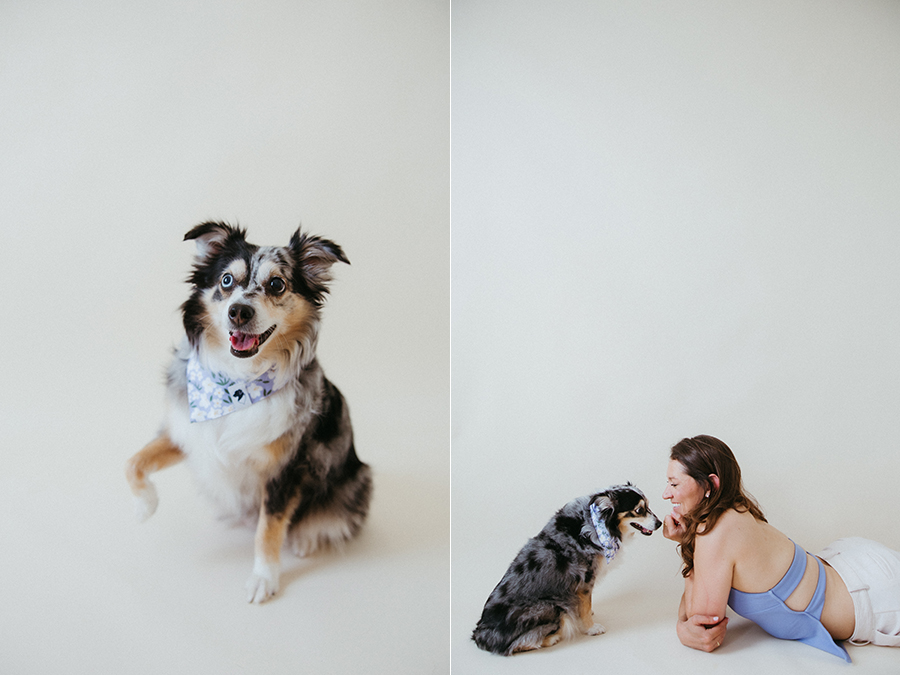 Aldie Virginia studio pet photographer