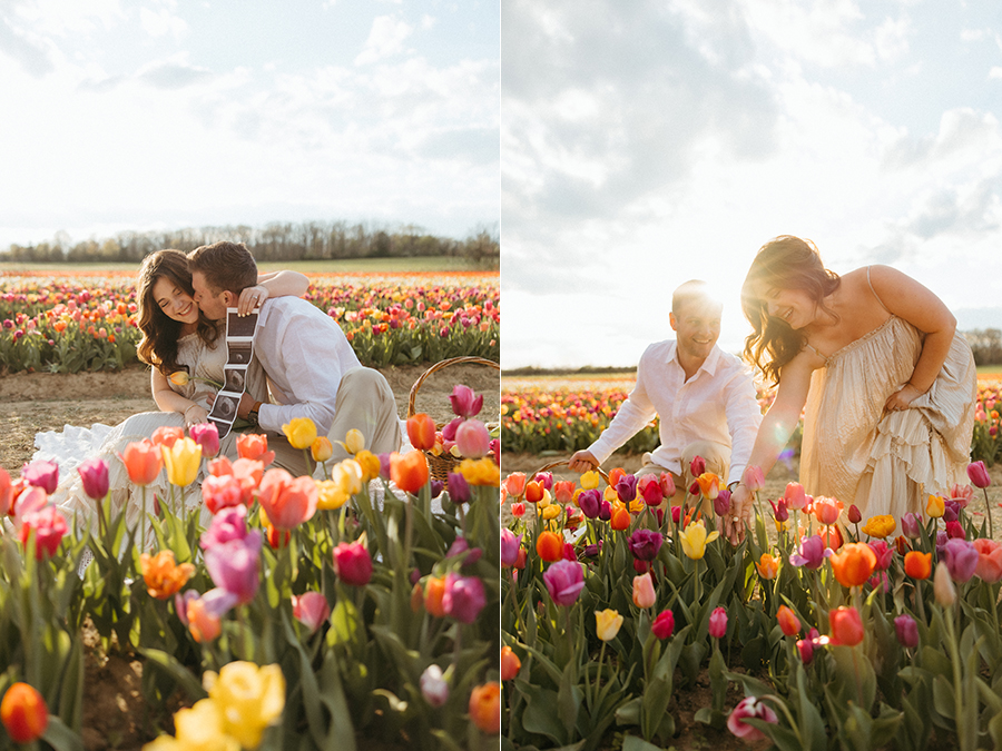 NOVA tulip mini session photographer