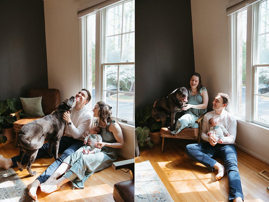 Virginia newborn photographer