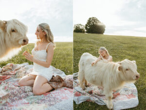 NOVA highland cow senior portrait photographer