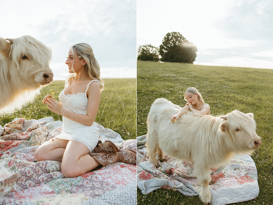 NOVA highland cow senior portrait photographer