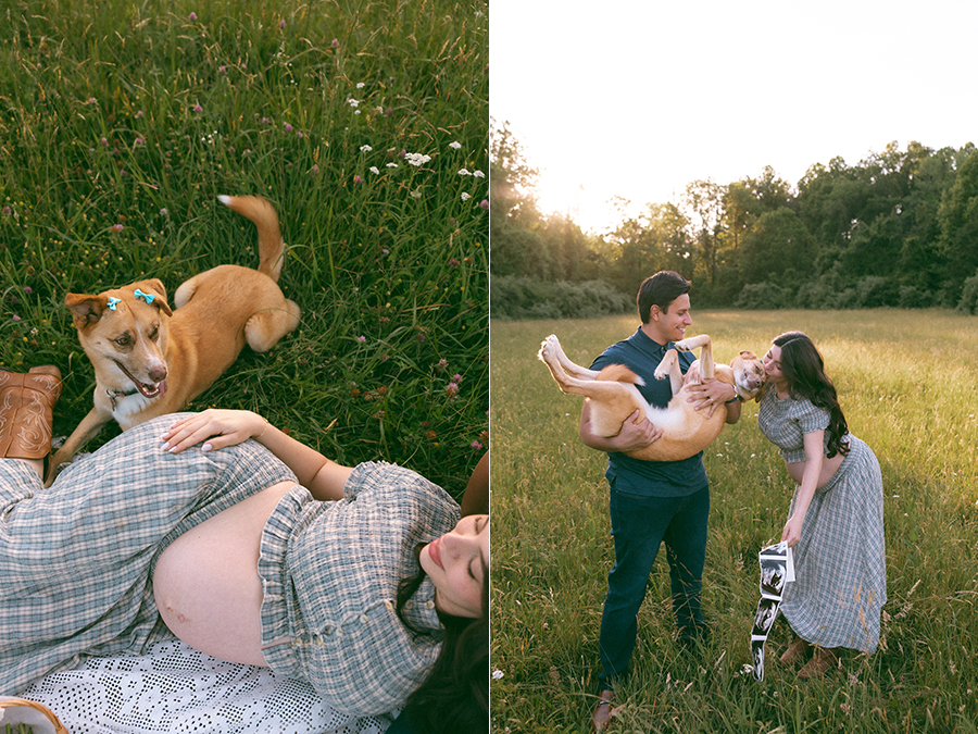 aldiematernityphotographer