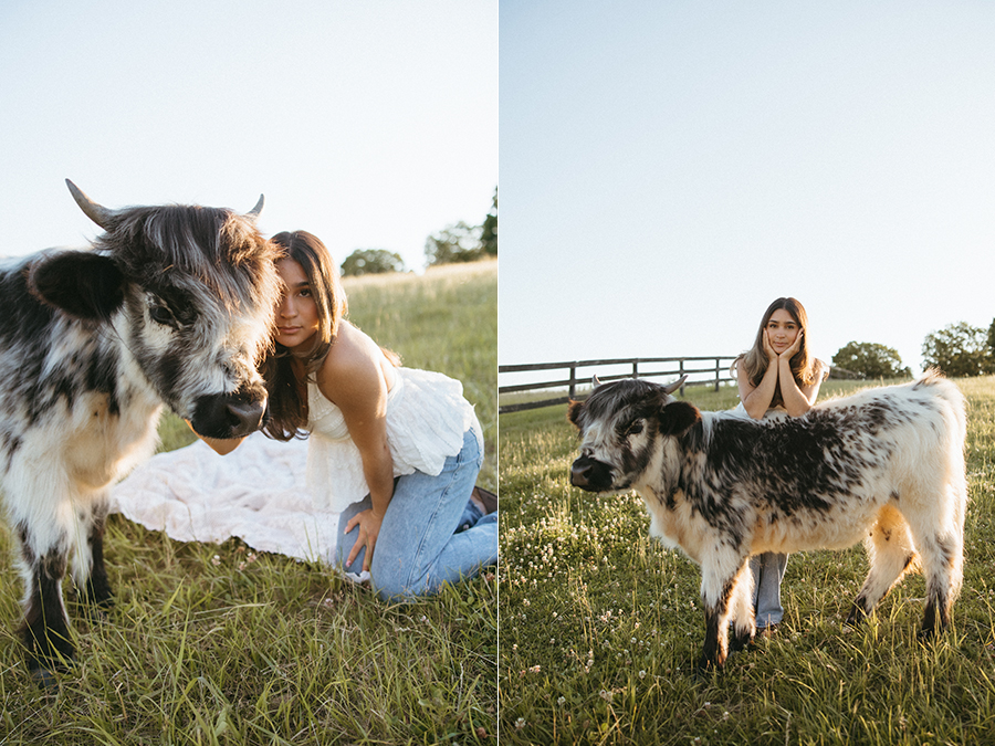 Nova highland cow senior portrait photographer