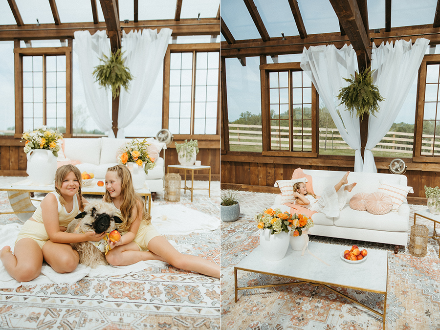NOVA Greenhouse Lambie Mini Session