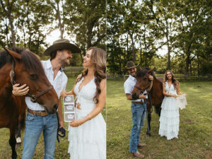 Aldie maternity horse photographer