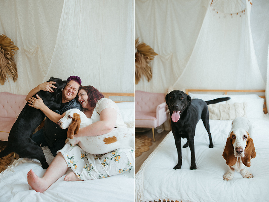 NOVA studio pet photographer