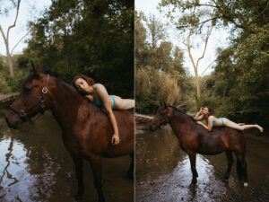 NOVA equestrian photographer