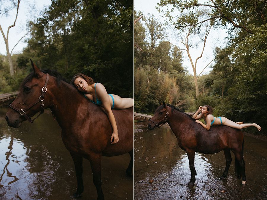 NOVA equestrian photographer