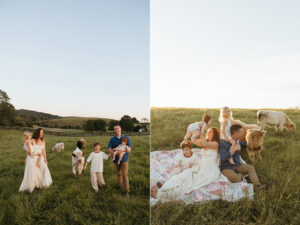 NOVA highland cow family photographer