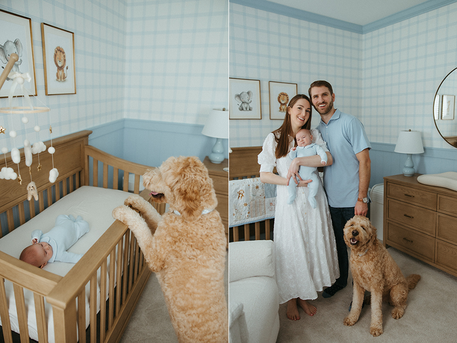 Leesburg newborn photographer