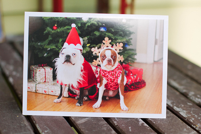 Hog & Clementine’s Palm Press greeting card