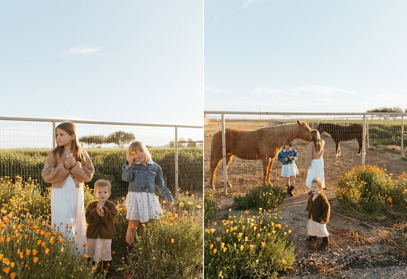 Anders girls | Queen Creek family photographer