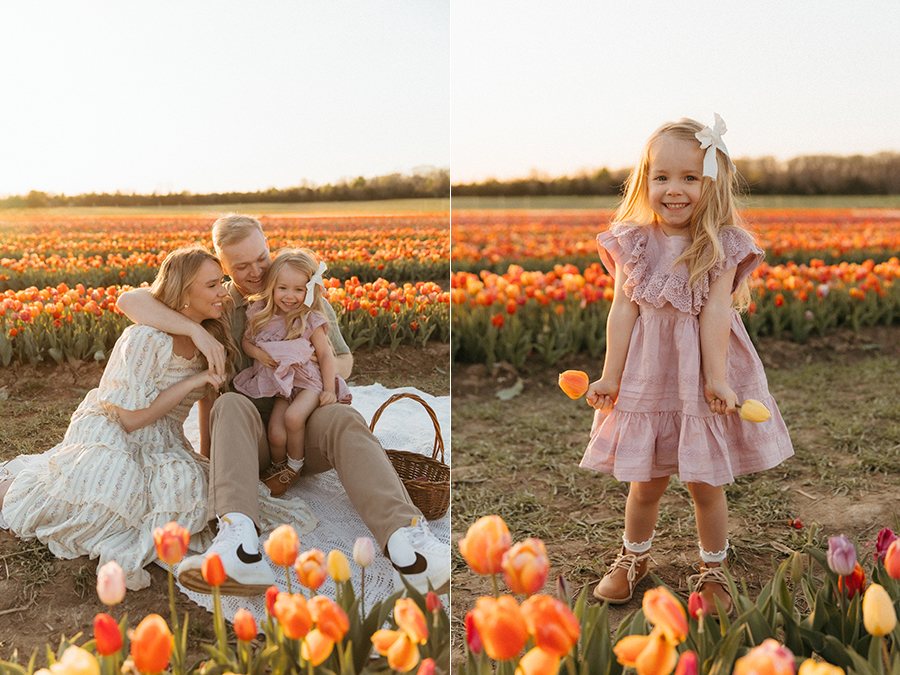Tulip mini sessions Northern Virginia